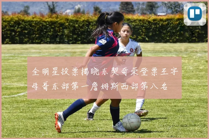 全明星投票揭晓东契奇荣登票王字母哥东部第一詹姆斯西部第八名